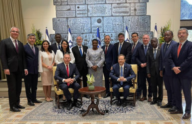 13 послов ООН посетили «Яд ва-Шем» во время визита в Израиль
