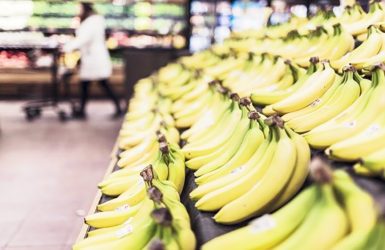 Польза зеленых бананов